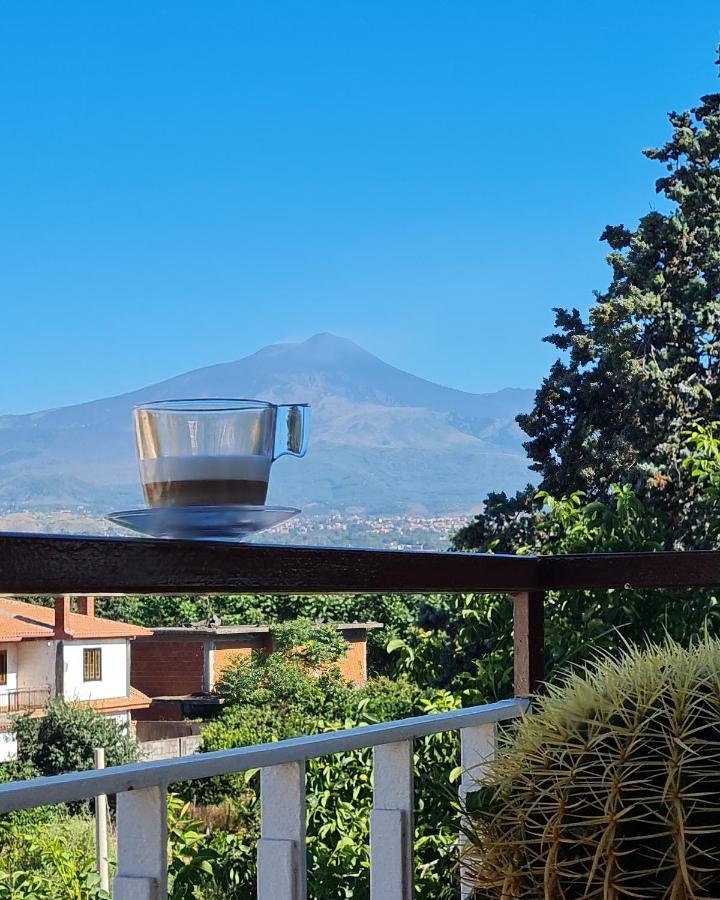 La Punta Hotel San Giovanni La Punta Eksteriør billede